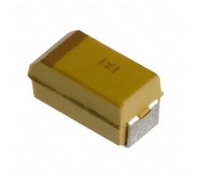 T491A106M006AS Image
