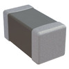 AC0603JRNPOYBN101 Image